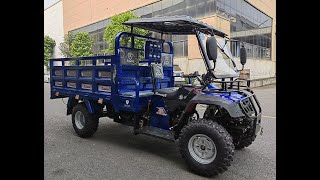 4X4 ATV QUAD cargo ATV 300cc350cc tricycle [upl. by Eeralav]