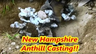 Ant Hill Casting with Molten Aluminum [upl. by Hogan]