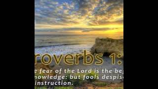 UNDERSTANDING PROVERBS  VITAL STATISTICS [upl. by Leihcar]