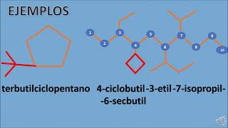 CICLOALCANOS [upl. by Duwad679]