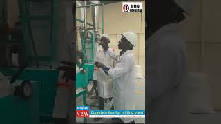 star miller 1 Welcome to this insightful video from our Kenyan client ELGON Mill [upl. by Cherianne978]