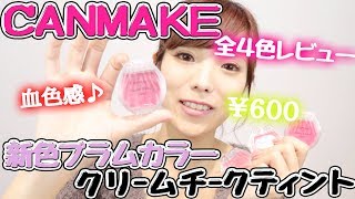 【CANMAKE】¥600のクリームチークティント全４色レビュー♪秋の新色が可愛すぎる♡ [upl. by Kaleena]