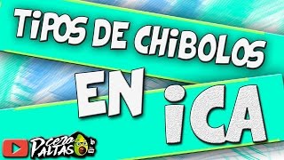 Tipos de Chibolos de Ica  Cero Paltas [upl. by Urbanna270]