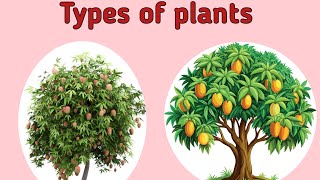 Types of plants for kidsvaishu cute tamiltypesofplants [upl. by Spanos]