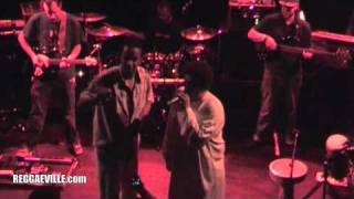 Part 3 Dub Inc  Murderer Live in Munich Germany  Ampere 11182010 [upl. by Rashida]