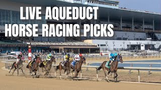 Live Aqueduct Horse Racing Picks [upl. by Notffilc968]