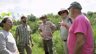 Ecological Planning Laboratory Knotweed in the Mad River Valley [upl. by Zahara]