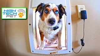 Is an automatic dog door worth it Honest review [upl. by Nevai]