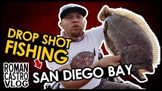 San Diego Bay Fishing Dropshot for Salty Bass and Halibut How To [upl. by Olimac828]