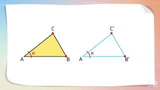 Videolezione  I criteri di congruenza dei triangoli [upl. by Newfeld]