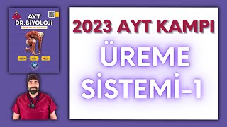 Üreme Sistemi1 AYT Biyoloji Kampı Konu Anlatımı 11Sınıf 2024 Tayfa [upl. by Margherita870]