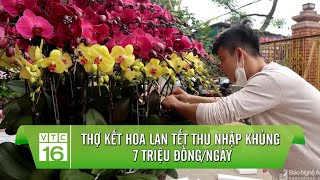 Thợ kết hoa lan tết thu nhập 7 triệu đồngngày  VTC16 [upl. by Syhr155]