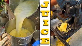 Fruit Juice Making  Ananas ka juice [upl. by Eelreveb]