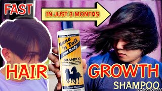 Fast hair growth shampoo mane and tail  hair grower  shampoo ng kabayo mabilis pampahaba ng buhok [upl. by Malda69]