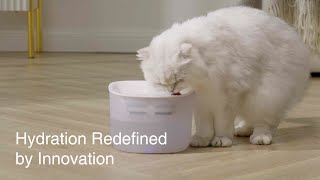 Petoneer EzPro Pet Fountain [upl. by Nwonknu]