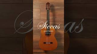 The quintessence of 1950s Spanish guitars  1959 Hernandez y Aguado  Siccas Guitars shorts [upl. by Ferrigno]