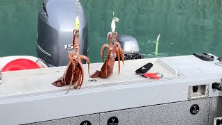 Squid Jigging in Whittier Alaska using Hardwire Tackle Squid Jigs [upl. by Carbone]