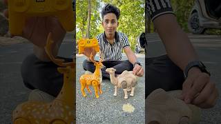 Rc Camel And Remote Control Deer Unboxing🔥🦌 [upl. by Aicirtak]