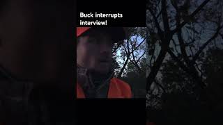 Shooter buck deer hunting interview bow rifle hunt film self camera season rut fall [upl. by Bogoch]