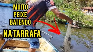 MUITA EMOÇÃO NA PESCARIA ACERTEI NO CARDUME DE PEIXES NA LAGOA [upl. by Renard370]