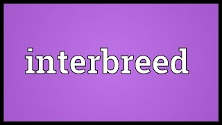 Interbreed Meaning [upl. by Ejroj803]