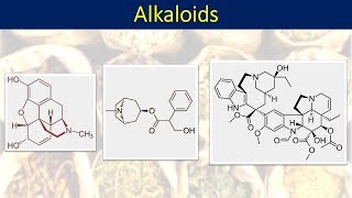 Part 1 Alkaloids intro and classification [upl. by Aremat873]