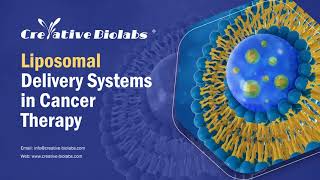 Liposomal Delivery Systems in Cancer Therapy  Creative Biolabs [upl. by Nad]