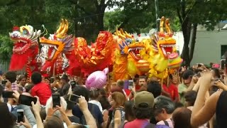 Buenos Aires celebra com pompa chegada do Ano Novo Chinês [upl. by Tsai]