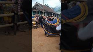 SATRIO SINDU WONGSO  jaranan bantengan culture event shorts clips subscribe [upl. by Rosalyn]