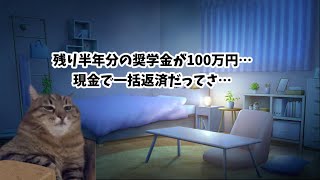 新卒看護師のその後【猫ミーム】 [upl. by Nilya]