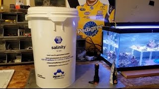 Aquavitro Salinity How To Fear Water Changes [upl. by Dita305]