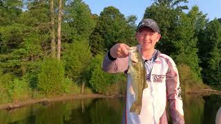 Small Pond Bass Fishing in Alabama See our new bait colors [upl. by Luigi]