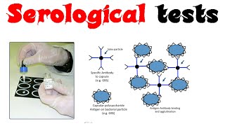 Serological tests [upl. by Nelleh160]