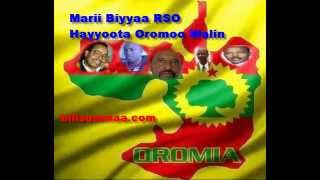 Marii Biyyaa RSO fi RHO Hayyoota Oromoo waliin taasise [upl. by Uzial]