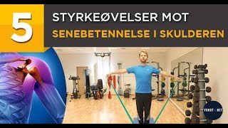 5 Styrkeøvelser mot Senebetennelse i Skulderen med strikk [upl. by Muhcon]