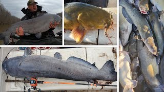 I Caught 100 Catfish Insane Fishing Challenge amp How to Catch BIG Catfish in the Winter [upl. by Burck]