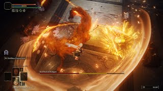 Elden Ring Moveset Mod Boss Fight Kill Red Wolf of Radagon in 1 hit 2nd [upl. by Deach]