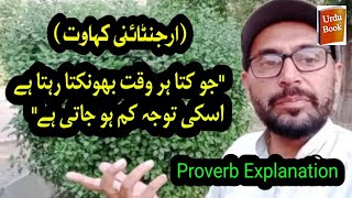 Argentina proverb about dog explanation in Urdu motivational quotes in Urdu [upl. by Tuneberg]