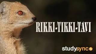 Rikki Tikki Tav Audio [upl. by Mali]