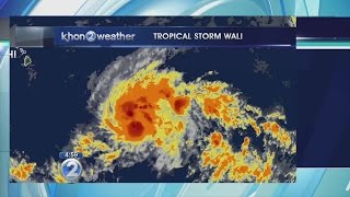 Tracking Tropical Storm Wali [upl. by Adnolay]