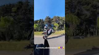 Bmw s1000rr wheelie s1000rr [upl. by Prebo103]