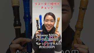 リコーダー格付けチェック！500円・1500円・3万円♪ [upl. by Umont]