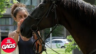 Best Of Horse Girl Pranks  Just For Laughs Gags [upl. by Kinimod]