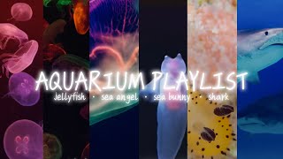 aquarium playlist  comp with all of my sea creatures playlists [upl. by Pazia]