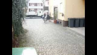 Skyteam Monkey 125cc wheelie mit Sportauspuff [upl. by Esille317]