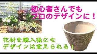 アンゲロニアとオレガノの寄せ植え【ウチ花】角度を変えるとこんなに違う！寄せ植えの基本 [upl. by Schild]