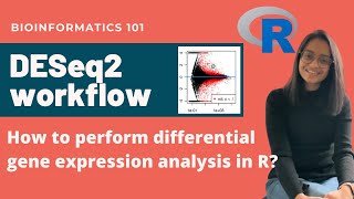 DESeq2 workflow tutorial  Differential Gene Expression Analysis  Bioinformatics 101 [upl. by Hadria]