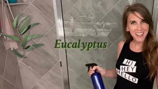 How to turn your Shower into a Eucalyptus Steam Room [upl. by Nagoh]