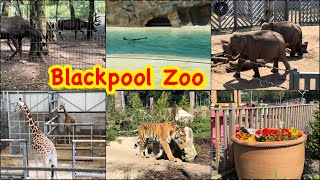 Blackpool zoo complete video  Beautiful zoo visit detail video zoo blackpoolzoo blackpool [upl. by Pan]