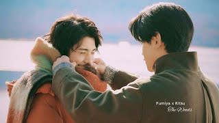 Fumiya ✘ Ritsu ► The Woods  Jack O Frost BL fmv [upl. by Florentia]